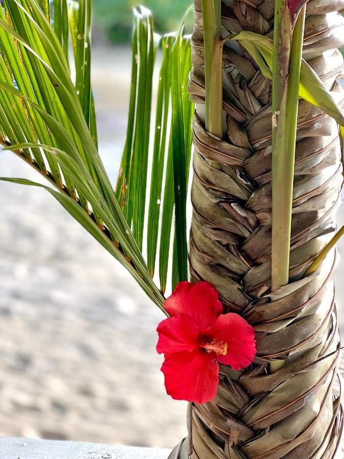 Coco Beach Resort Port Vila Zewnętrze zdjęcie